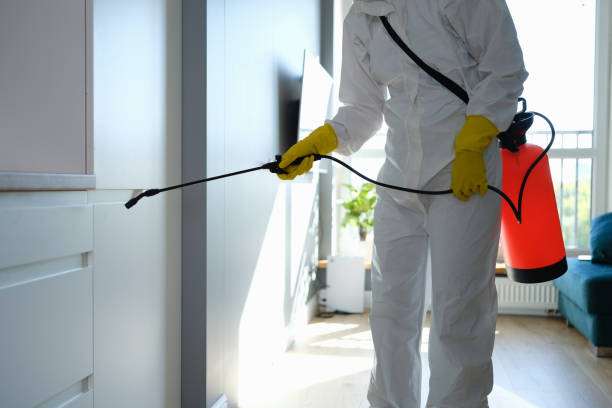 Best Residential Mold Remediation in Lynwood, CA